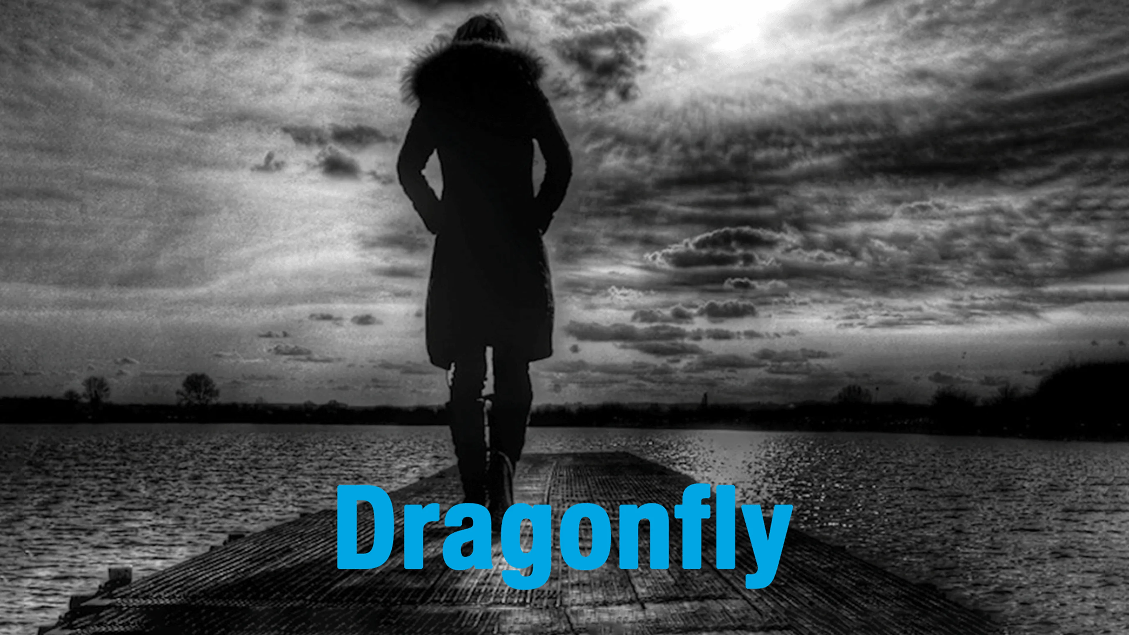 Dragonfly poster